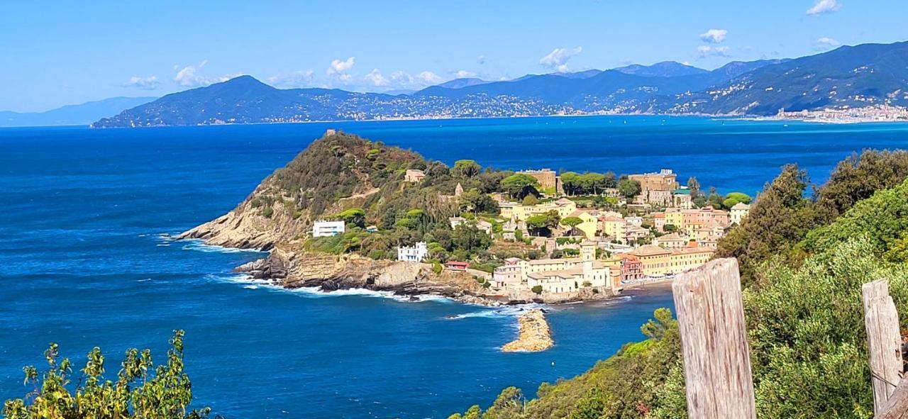 L'Americano Luxury Rooms Chiavari Eksteriør billede